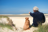 Man and dog on beach